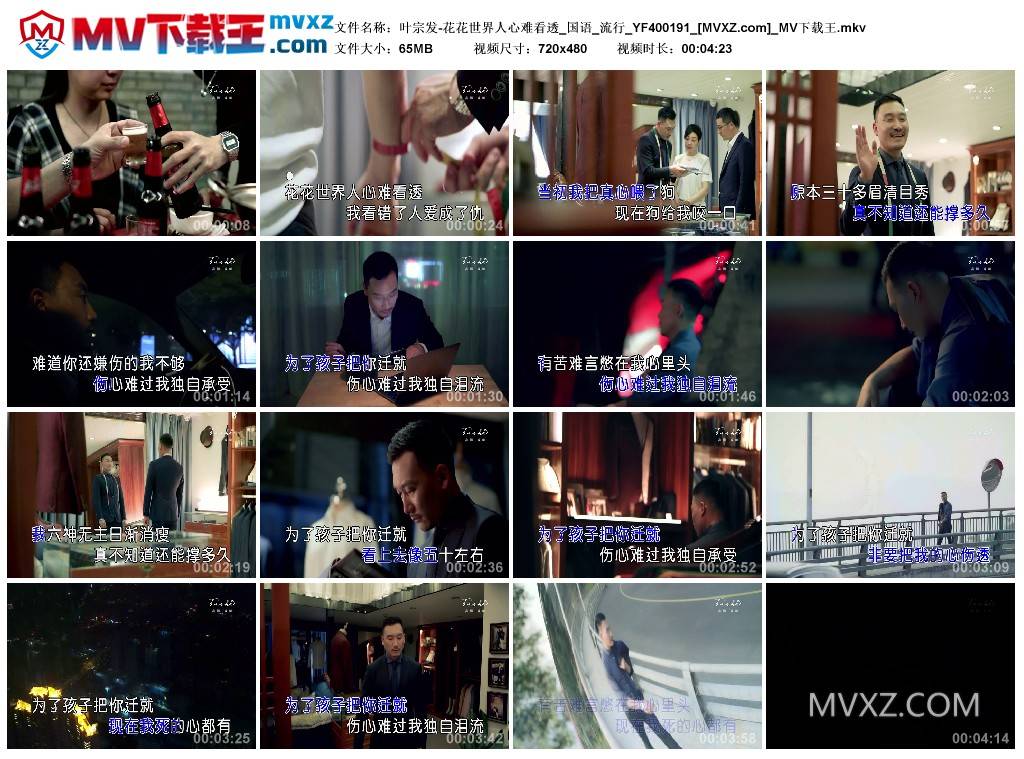 叶宗发-花花世界人心难看透_国语_流行_YF400191